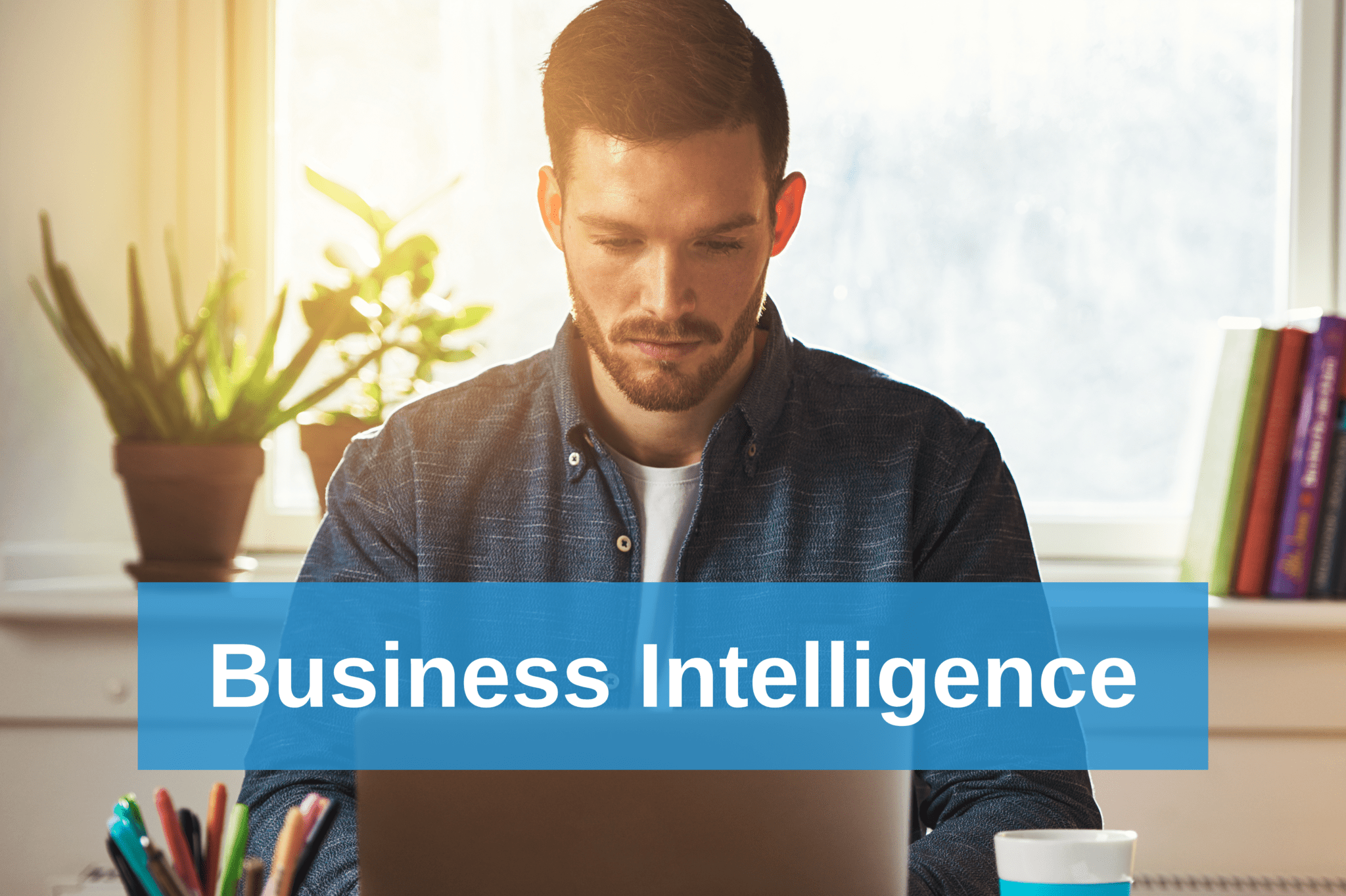 Business Intelligence